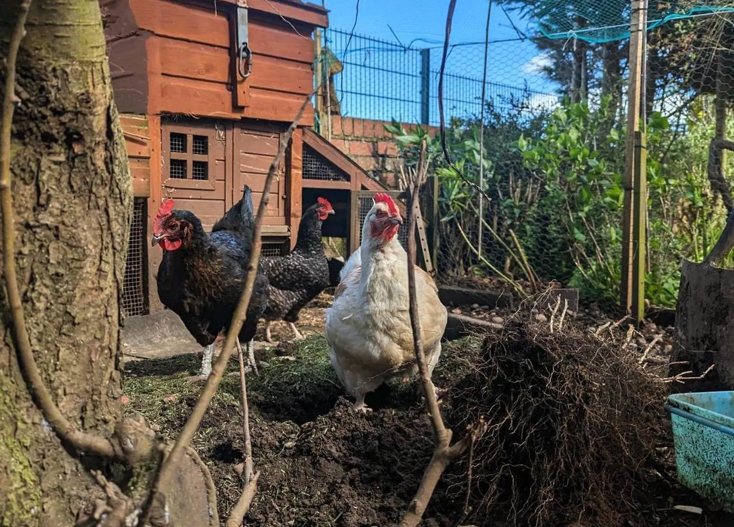 Number 18 Bed and Breakfast Γουίτμπι